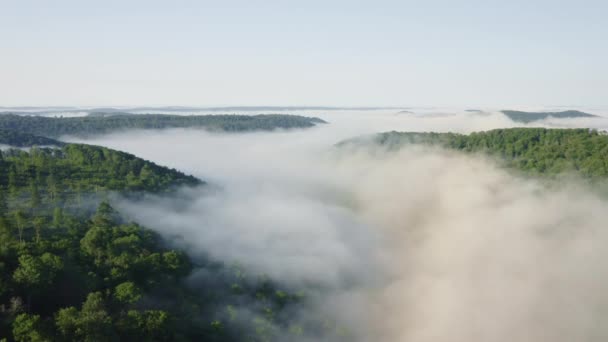 Aerial Drone Flying Forward Green Summer Forest Warm White Morning — Wideo stockowe