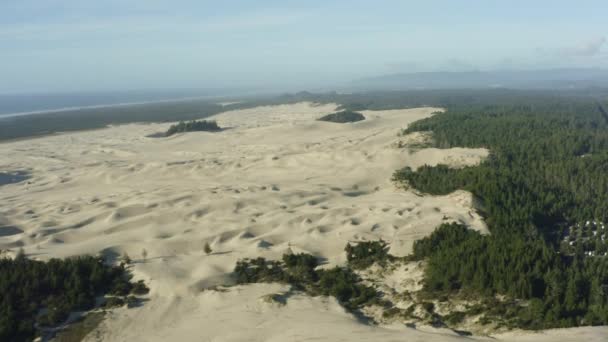 High Altitude Done Shot Oregon Sand Dunes — Stock Video