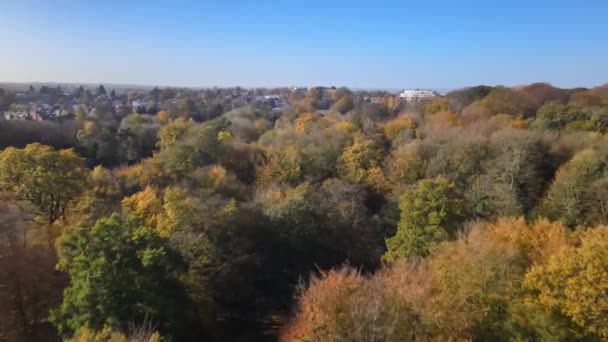 Autumnal Winter Forest Trees Belgium Town Suburbs Aerial View — Video