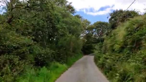 Narrow Country Road Villages England Lots High Trees Vegetation Sides — Stockvideo