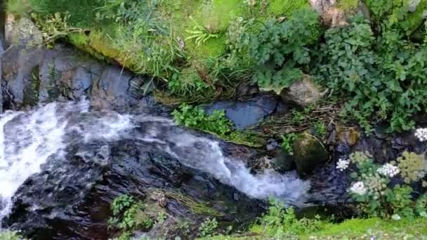 Stream Water Coming Watermill Boscastle Village Cornwall England Limestone Rock — Vídeos de Stock