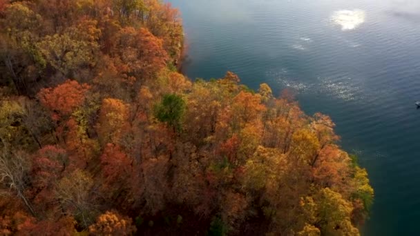 Beautiful Flyover Fall Foliage Lake Lanier Georgia — Stock videók