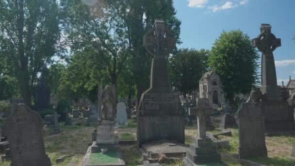 Pan Old Tombstones Crypts — Video Stock