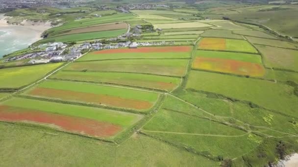 Picturesque Landscape Poppy Fields West Pentire Hamlet Cornwall England United – Stock-video