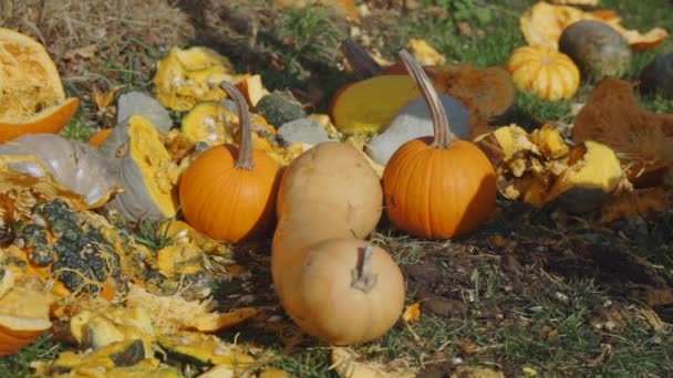 Slow Motion Close Man Swinging Hatchet Slice Funny Shaped Gourds — Stok video