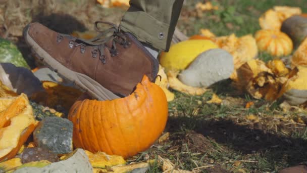 Slow Motion Close Man Stomping His Boot Rotten Pumpkins Gourds — Stok video