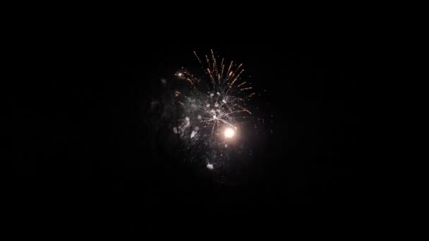 Multiple Colorfull Fireworks Dark — Stockvideo