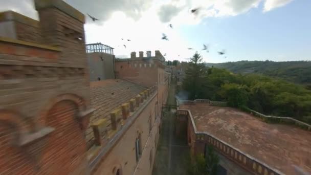 Flock Pigeons Flying Traditional Brick Buildings Sinalunga Siena Italy Fpv — Vídeo de Stock