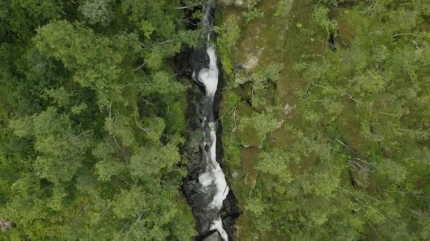 Top View Mountain Rapids Surrounded Forest Shot Norway — Stock videók