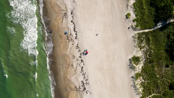 Aerial Tourists Vacation Beach Umbrella Cocoa Florida — Vídeo de Stock