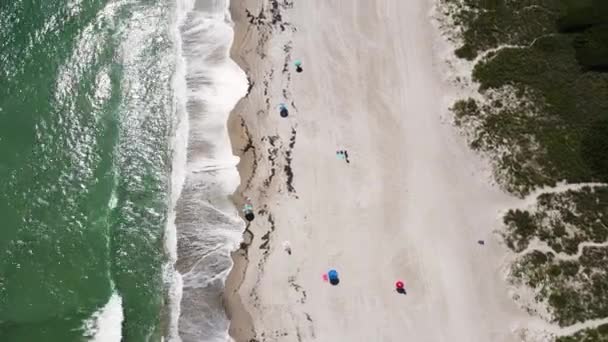 Florida Beach Travel Destination America Aerial Bird Eye View — 비디오