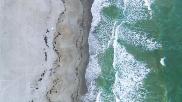 Tropical Sandy Beach Florida Aerial Top Vertical Footage — Vídeo de Stock