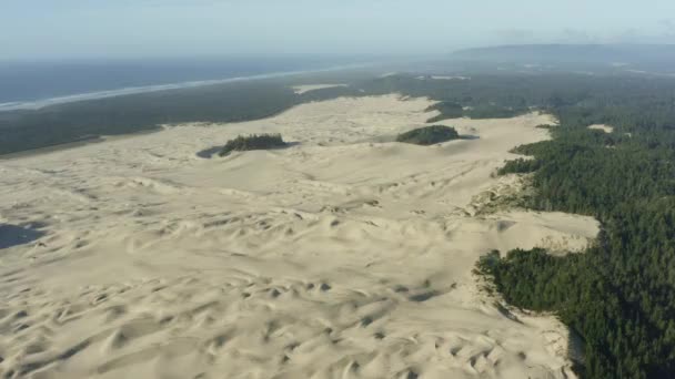Aerial Expansive Sandy Dunes Surrounded Forest Ocean — Stockvideo