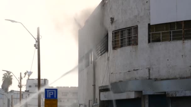 Firefighters Action Subduing Fire Industrial Building Streams Water — Vídeo de stock