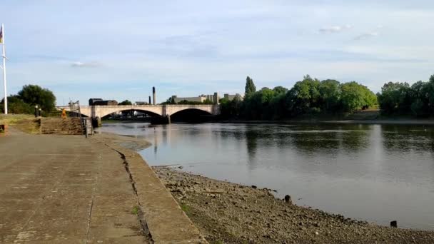 View River Thames Chiswick Bridge Distance Tide Low Very Sunny — Stockvideo