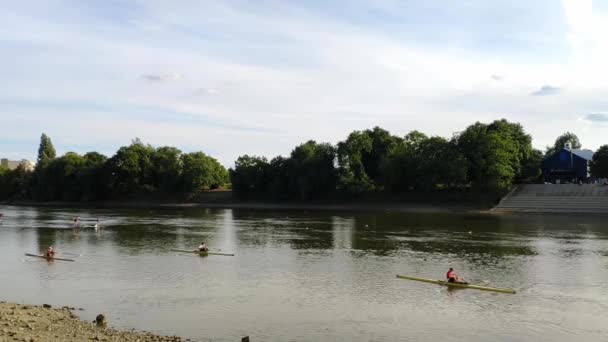 Thames River London Sunny Summer Day Three Rowers Stopped Getting — Stock Video