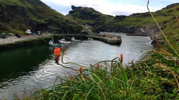View Harbour River Valency Village Boscastle Cornwall England Clear Summer — Video