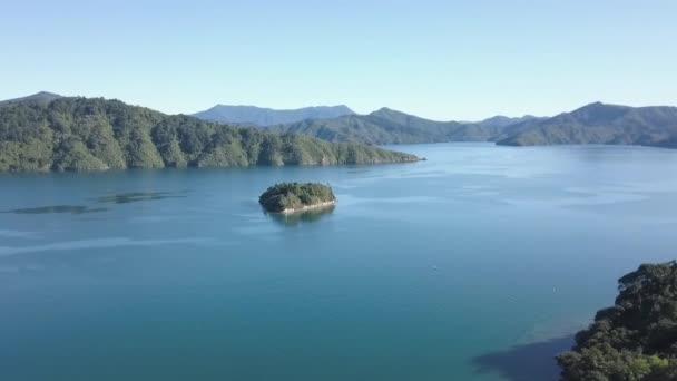 Picton New Zealand Blue Sky Sunny Day People — 图库视频影像