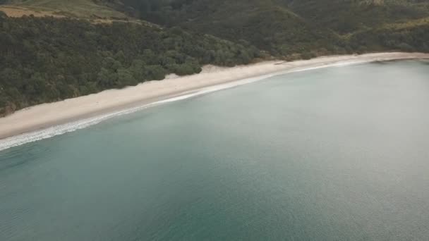 Beach Coast New Zealand Bay Islands — Stock video