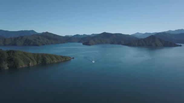 Speedboat Picton New Zealand Blue Sky Summers Day — 图库视频影像