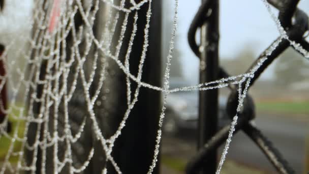 Dew Covered Spiderweb Hangs Entrance Gate — 비디오