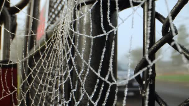 Dew Covered Spiderweb Hangs Gate — 비디오