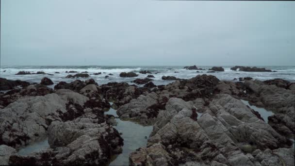 Beautiful Overcast Rocky Beach Waves Monterey California — Video