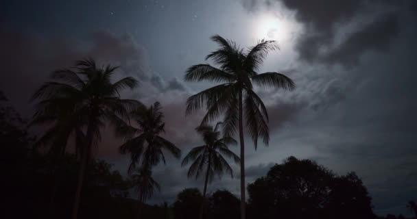Vollmondnacht Mit Pam Bäumen Silhouetten Und Wolken — Stockvideo