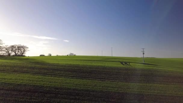 Ascending Drone Shot Rolling Green Fields Blue Skies — Stockvideo