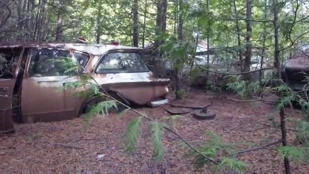 Slider Shot Abandoned Automobiles Forest — ストック動画