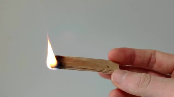 Palo Santo Stick Light Lighter Big Flame Starts Grow Sitck — Stock Video