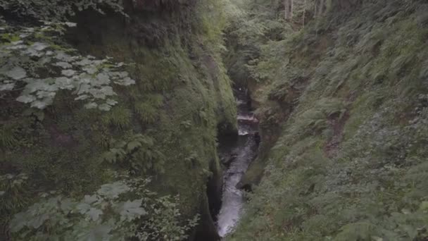 Krásný Výhled Zelený Kaňon Lese Skotsku Sladkovodní Řeka Přírodní Krajině — Stock video