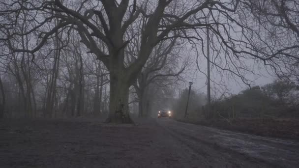 4X4 Car Approaching Muddy Road Forest Cambridge England Foggy Day — Stock videók