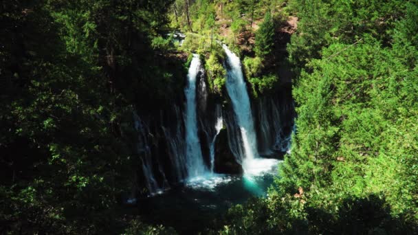 Looking Majestic Waterfalls Trees Burney Falls California Wide — Video