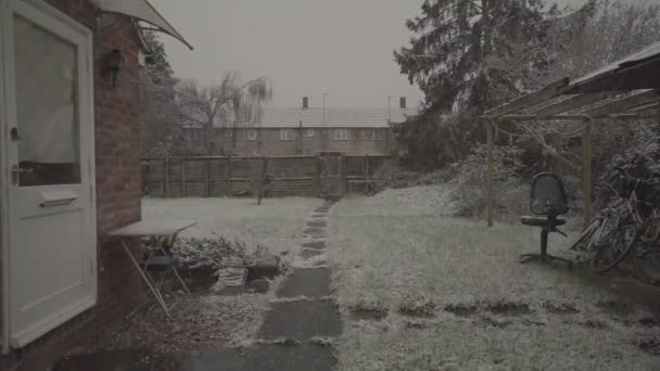 Snow Flakes Slow Motion Falling House Garden Cambridge England Winter — Vídeo de stock