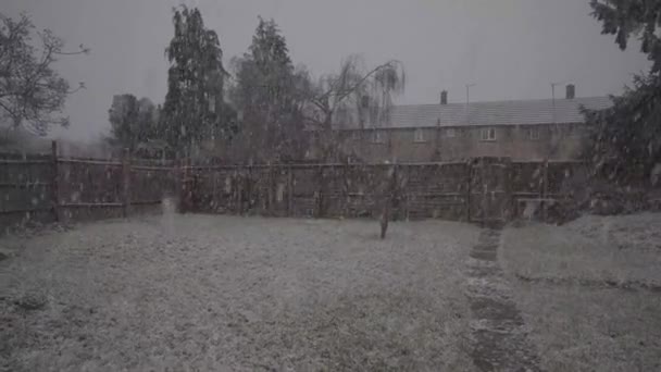 Heavy Snow Flakes Garden House Cambridge England Winter — Stok video