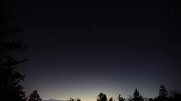 Geceleri Ağaçların Üzerinde Hareket Eden Arka Planda Kayan Yıldızların Çarpıcı — Stok video