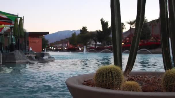 Serene Background Scene Cactus Planter Foreground Water Mid Ground Cars — Stockvideo