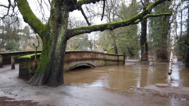 River Bollin Wilmslow Cheshire England Heavy Rainfall Bursting Its Banks — Video Stock