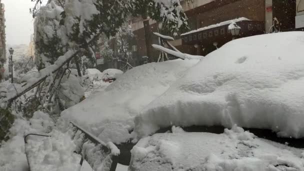 View Street Covered Snow Trees Wrecked Branches Have Broken Snow — Video