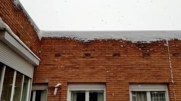 View Window Snow Falling Quite Heavily Building Quite Close Right — Wideo stockowe