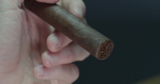 Hand Holding Rotating Cigar — Stockvideo