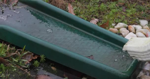 Rain Coming Out Gutter Yard — Video