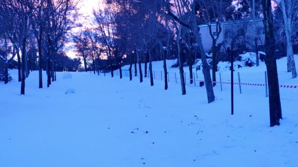 Входить Складу Мадридського Парку Ретіро Парк Повністю Заповнений Снігом Дорога — стокове відео