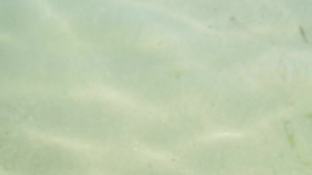 Turquoise Sea Water Sun Reflections — 图库视频影像