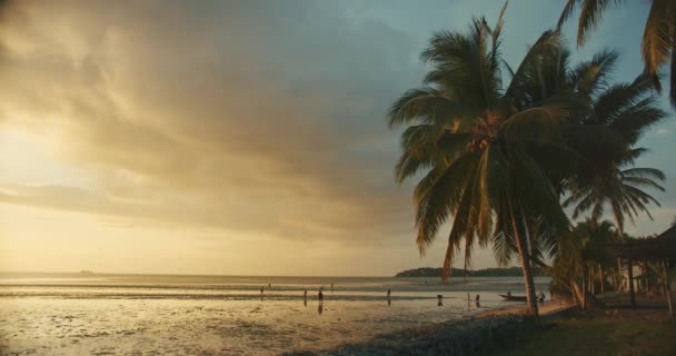 Beautiful Warm Sunset Tropical Coast View People Collecting Crabs Shells — Stockvideo