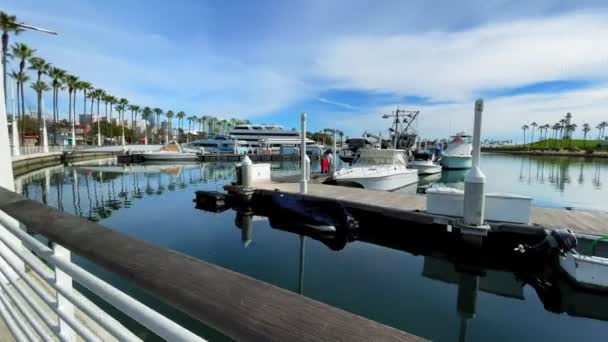 Wide Angle Fish Eye View Harbor Shoreline Village Long Beach — 图库视频影像