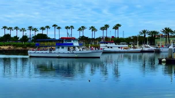 Harbor Tour Boat Shoreline Village Located Long Beach California — Wideo stockowe