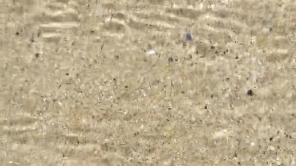 Detail White Sand Some Transparent Sea Water — Wideo stockowe