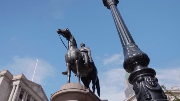Duke Wellington Statue Front Bank England London — Stockvideo